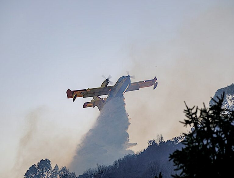 Gli incendi boschivi sono diventati una piaga per lo Stato