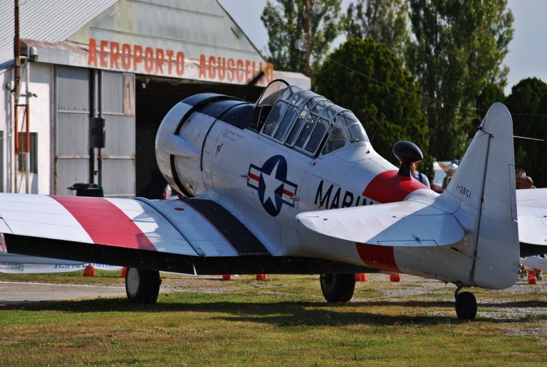 VOLA IN FESTA 2018 Aeroporto di Aguscello