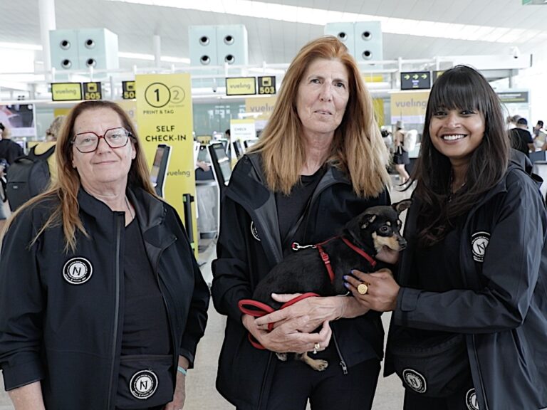 Vueling e Nasoni and Friends ODV insieme per l’International Dog Day: adozioni a portata di volo